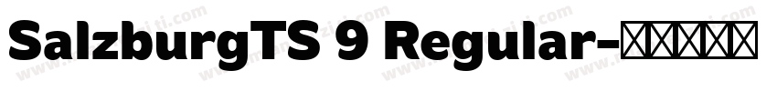 SalzburgTS 9 Regular字体转换